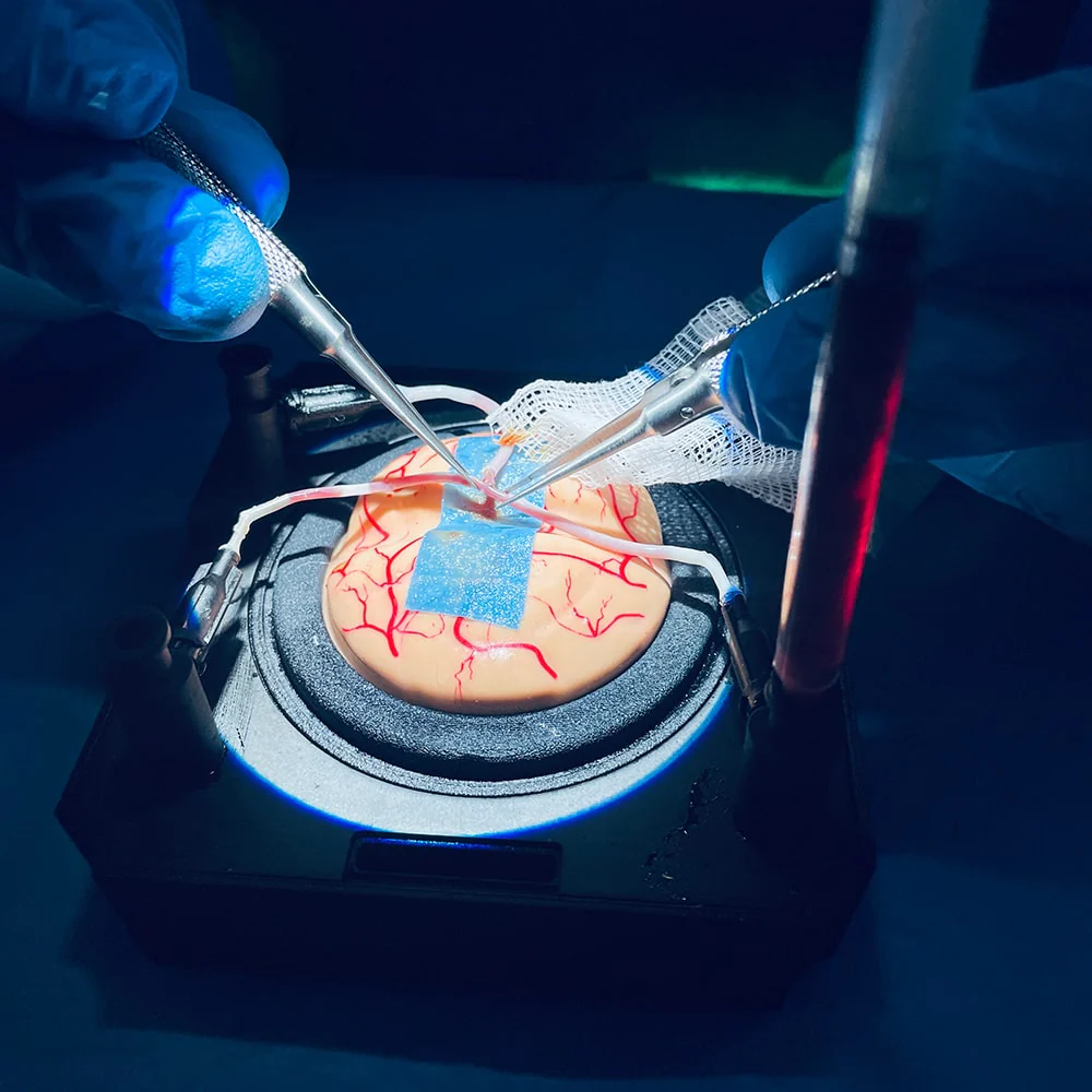 Micro Neurosurgery