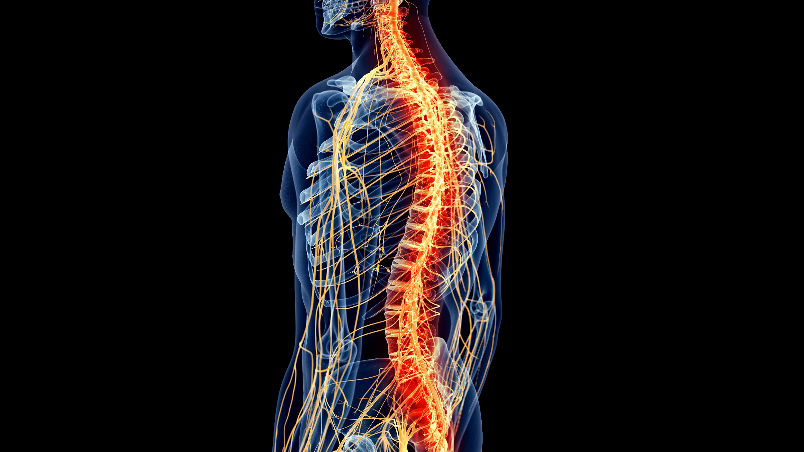 Spinal Cord Injuries